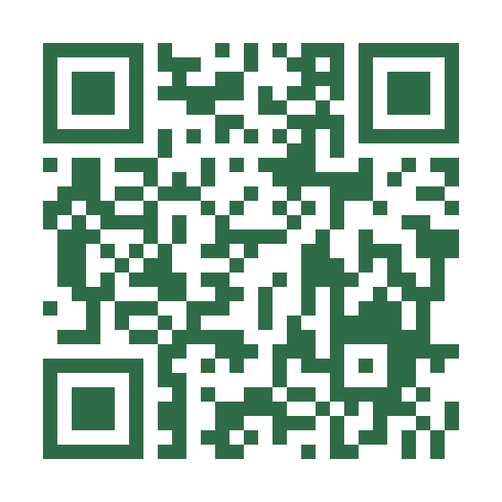 Wise QR code